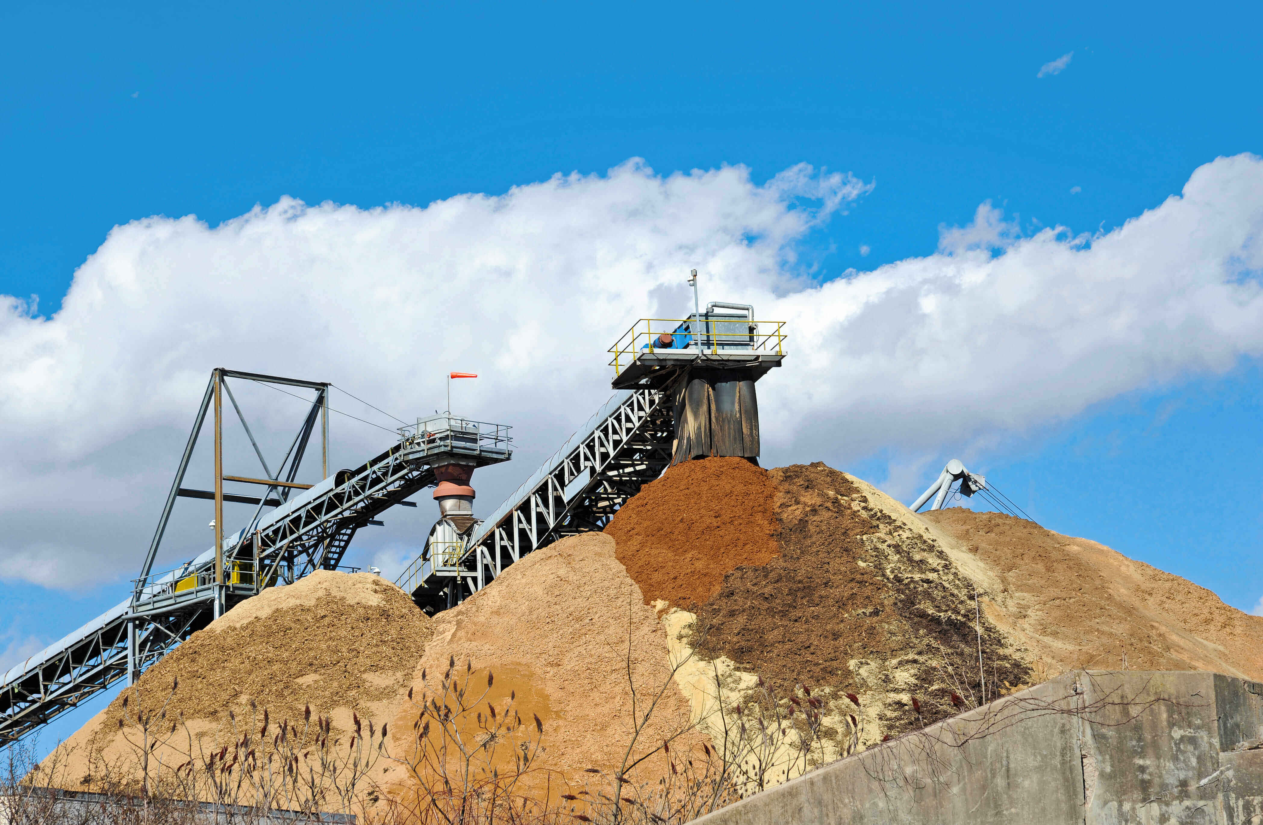 Biomass
