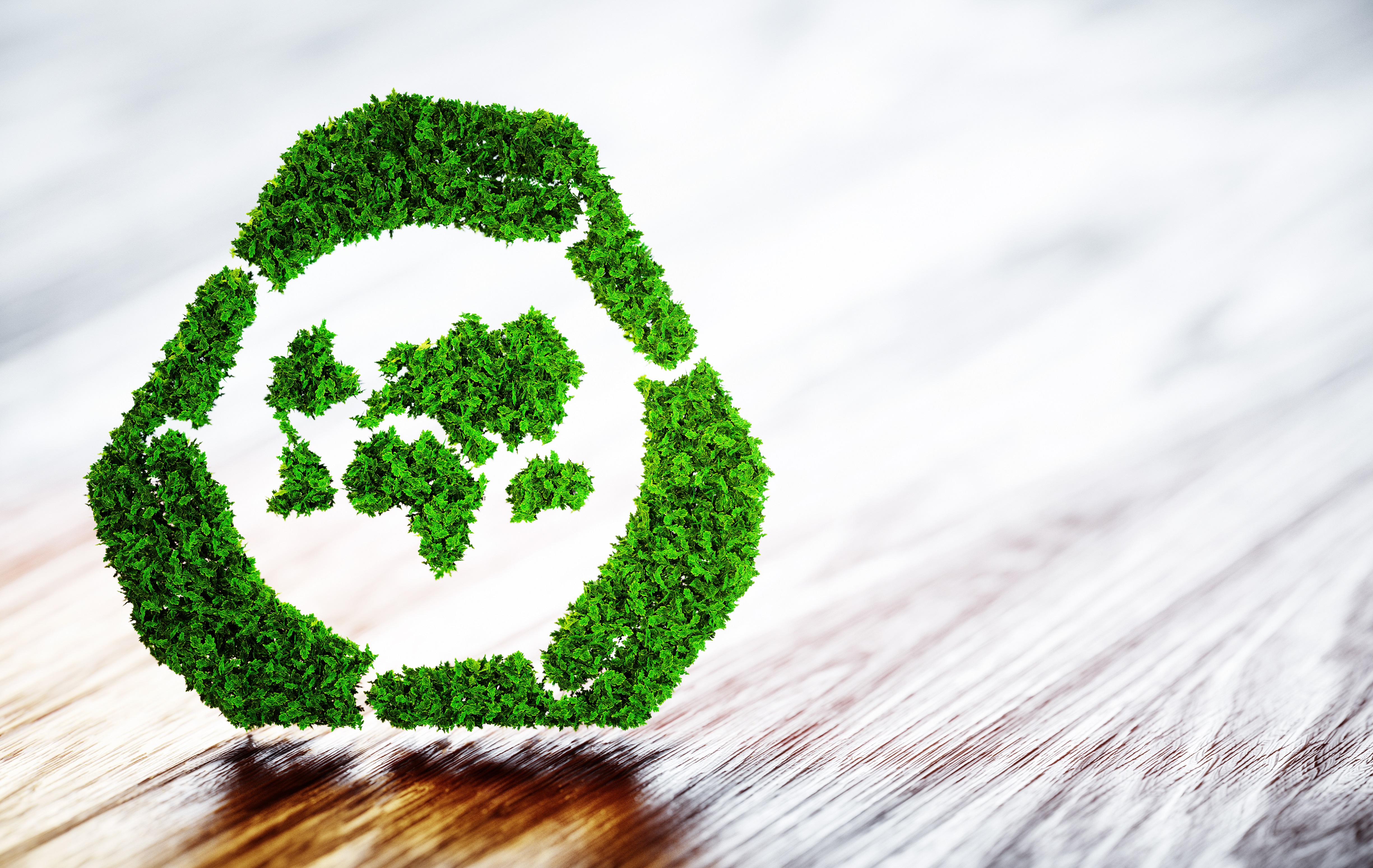 Renewable energy certificates